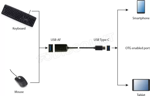 Photo de Câble Adaptateur CableXpert USB-C/A 2.0 OTG MF 20cm (Gris)