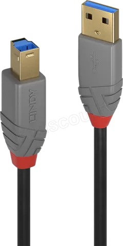 Photo de Cable Lindy Anthra Line USB 3.2 A/B M/M 1m (Gris)