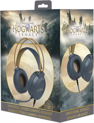 Harry Potter - Casque Double avec Micro pour PC/PS4/PS5/XBOXONE- Hogwarts  Legacy