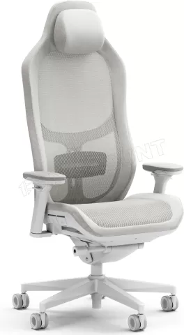 Photo de Fauteuil ergonomique Fractal Design Refine Mesh (Gris)