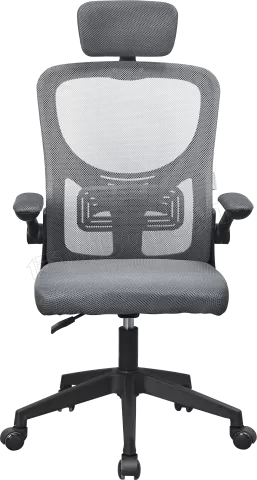 Photo de Fauteuil ergonomique Mars Gaming MGC-Ergo Plus (Gris/Noir)