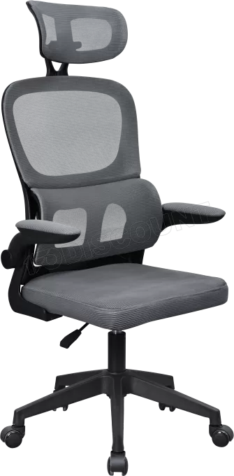 Fauteuil ergonomique Mars Gaming MGC-Ergo Pro (Gris)