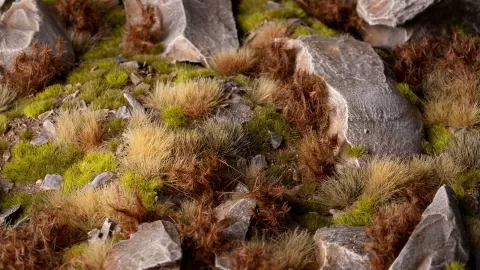 Photo de Gamers Grass -  Spikey Brown