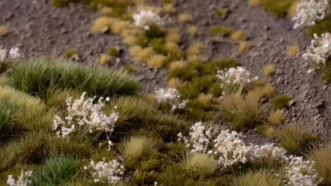 Photo de Gamers Grass - White Flowers