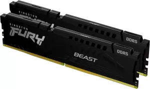 Photo de Kingston Fury Beast